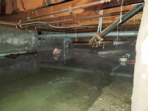 Best Water damage restoration process  in Ovilla, TX