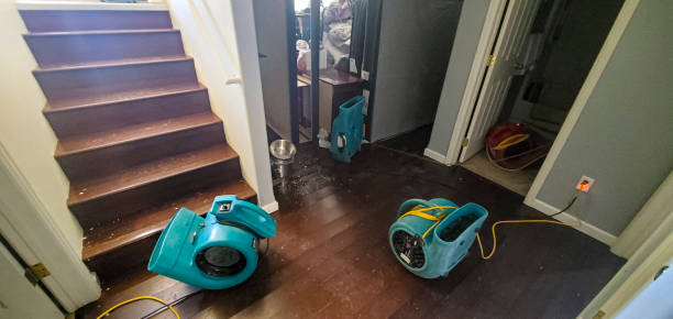 Best Water damage repair service  in Ovilla, TX