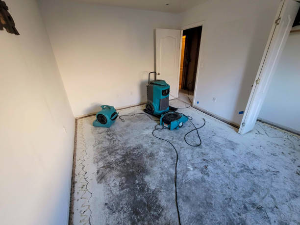 Best Water damage contractors near me  in Ovilla, TX