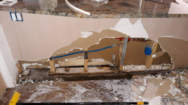 Best Water damage restoration near me  in Ovilla, TX
