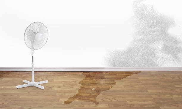 Best Water damage restoration near me  in Ovilla, TX