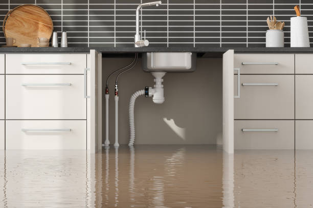  Ovilla, TX Water damage restoration Pros